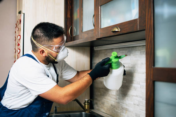 Best Affordable Pest Control Services  in Hines, OR
