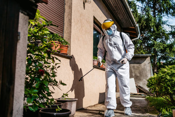 Best Termite Control Services  in Hines, OR