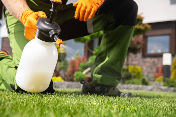 Pest Control for Restaurants in Hines, OR