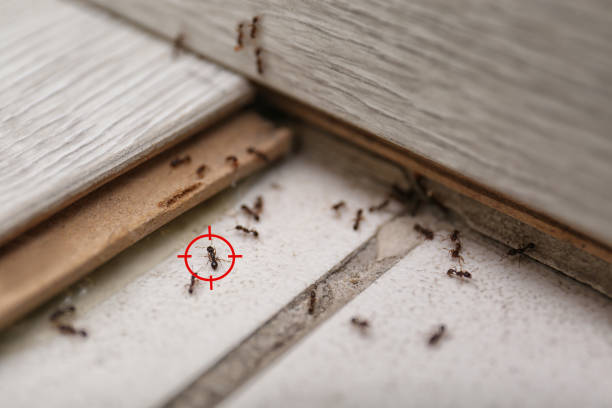 Best Pest Control for Restaurants  in Hines, OR