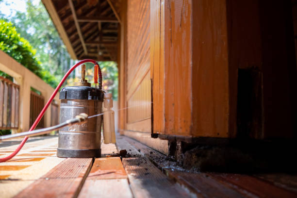 Best Local Pest Control Services  in Hines, OR