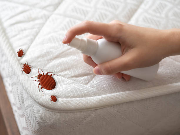 Best Commercial Pest Control Services  in Hines, OR