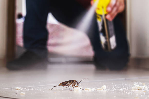 Best Exterminator Services  in Hines, OR