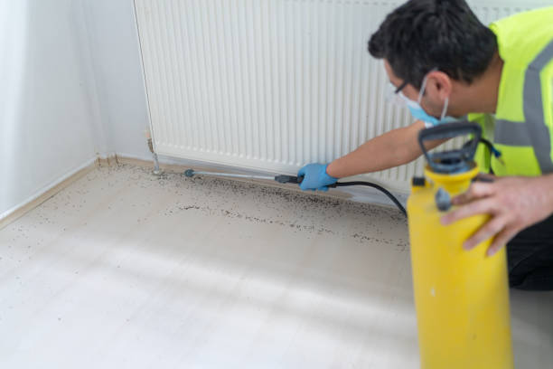 Best Best Pest Control Companies  in Hines, OR
