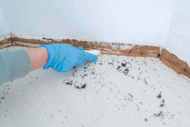 Best Pest Control Near Me  in Hines, OR