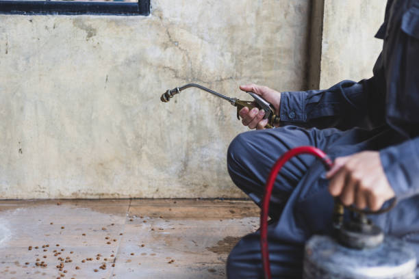Best Pest Control for Homes  in Hines, OR